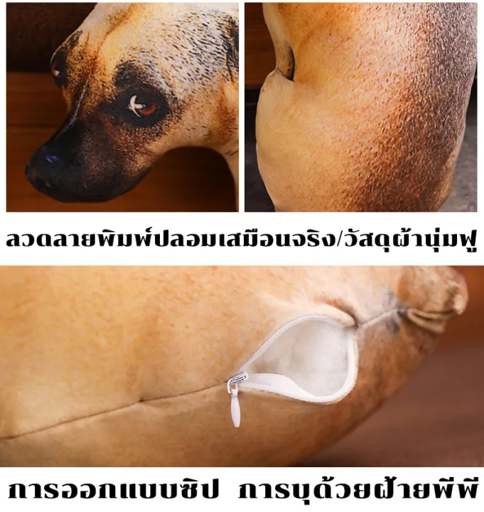 %E0%B8%AB%E0%B8%A1%E0%B8%AD%E0%B8%99%E0%B8%95%E0%B8%B8%E0%B9%8A%E0%B8%81%E0%B8%95%E0%B8%B2%20%E0%B8%A3%E0%B8%B9%E0%B8%9B%E0%B8%AA%E0%B8%B8%E0%B8%99%E0%B8%B1%E0%B8%82%E0%B8%81%E0%B8%AD%E0%B8%94%20%E0%B8%82%E0%B8%AD%E0%B8%87%E0%B9%80%E0%B8%A5%E0%B9%88%E0%B8%99%E0%B8%AA%E0%B9%8D%E0%B8%B2%E0%B8%AB%E0%B8%A3%E0%B8%B1%E0%B8%9A%E0%B9%80%E0%B8%94%E0%B9%87%E0%B8%81%20%E0%B8%9C%E0%B8%B9%E0%B9%89%E0%B9%83%E0%B8%AB%E0%B8%8D%E0%B9%88%20%E0%B8%AB%E0%B8%A1%E0%B8%AD%E0%B8%99%E0%B8%AA%E0%B8%B8%E0%B8%99%E0%B8%B1%E0%B8%82%E0%B8%88%E0%B8%B3%E0%B8%A5%E0%B8%AD%E0%B8%87%203D,%20%E0%B8%82%E0%B8%AD%E0%B8%87%E0%B9%80%E0%B8%A5%E0%B9%88%E0%B8%99%E0%B8%95%E0%B8%B8%E0%B9%8A%E0%B8%81%E0%B8%95%E0%B8%B2%E0%B8%AA%E0%B8%B8%E0%B8%99%E0%B8%B1%E0%B8%82,%20%E0%B9%80%E0%B8%9A%E0%B8%B2%E0%B8%B0%E0%B8%95%E0%B8%B8%E0%B9%8A%E0%B8%81%E0%B8%95%E0%B8%B2%E0%B8%AA%E0%B8%B8%E0%B8%99%E0%B8%B1%E0%B8%82%E0%B8%88%E0%B8%B3%E0%B8%A5%E0%B8%AD%E0%B8%87%20-%20Image%203