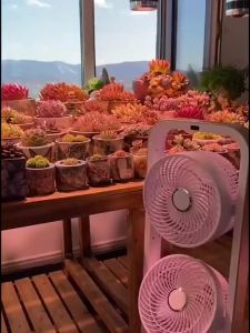 Xingzuan Three Head Electric Fan Three-Head Air Circulation Fan Floor-to-ceiling Plants AC Household Ventilation Fans Camping Fan Camping Dan Silent Vertical Household 3 Head Gift