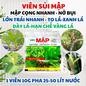 Phân Bón Viên Sủi Canxi Bo - Bí Quyết Giúp Rau Lớn Nhanh Nở Cọng To Trái Hiệu Quả