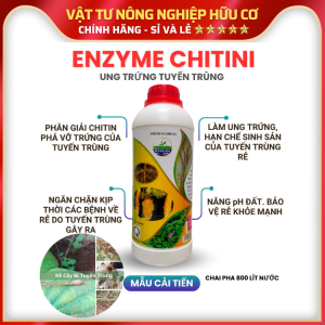 ENZYME CHITINI Trừ Tuyến Trùng Rễ Ngừa Héo Xanh - Chai 1 Lít