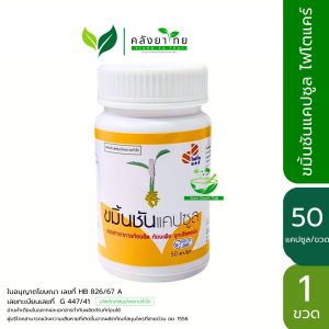 ขมิ้นชันแคปซูล ไฟโตแคร์ (องค์การเภสัชกรรม) PhytoCare Herble Curmin พร้อมส่ง