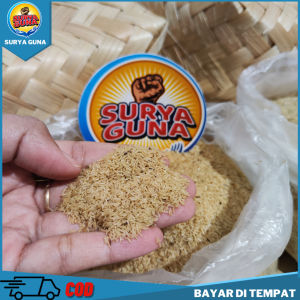 jual telur jangkrik depok kemasan 1 kg