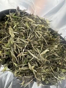 TCHA | ชาขาวกงเหมย Gong Mei White Tea เกรด 1 อายุ 3 ปี จากภูเขาอู่ยิซาน 三年白茶一级贡眉，产地武夷山