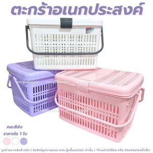 ตะกร้าพลาสติก ตะกร้า ตะกร้าแมวเล็ก ขนาด 25*33*23 ซม. ตะกร้าใส่ของ ฝาล็อก มีรูมีหูหิ้ว สีพาสเทล