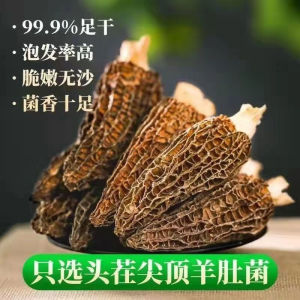 头茬羊肚菌羊肚菇野生菌新鲜食用菌干货菌汤包食材云南特产Dried Morchella Mushroom