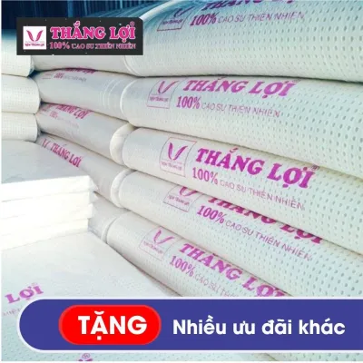 NỆM Size 1m6 x 2m x 10cm CAO SU 100% THIÊN NHIÊN THẮNG LỢI Kèm Quà Tặng 2 Gối Cao su Thiên Nhiên + 1 Ga Bọc Nệm Cùng Size