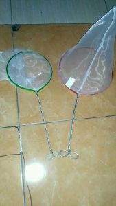 Seser Serokan Kutu Air kutir Artemia