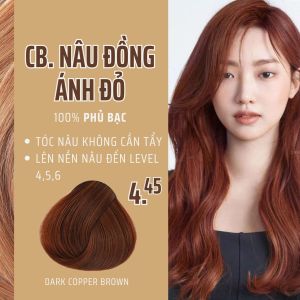 Kem nhuộm tóc phủ bạc 100% HT VGO (tặng 1 tuýp gội 100ml)