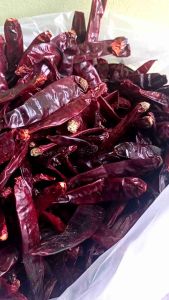 ( 1kg )CABE MERAH BESAR KERING. CABE INDIA TANPA TANGKAI