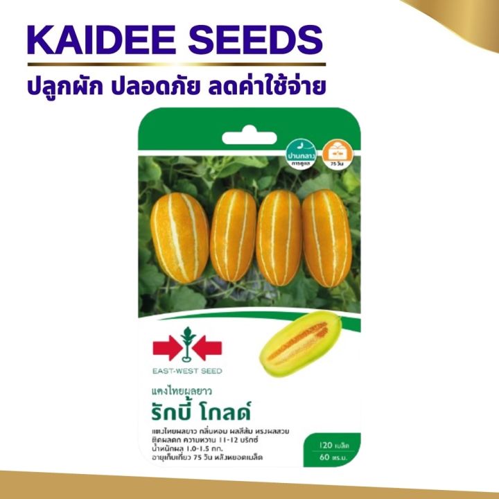 เมล็ดแตงไทยผลยาว รักบี้ โกลด์ ตราศรแดง ผลสีส้ม หอมหวาน