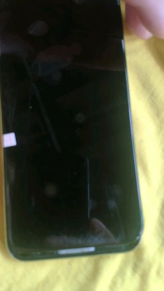 Buyer review video 2