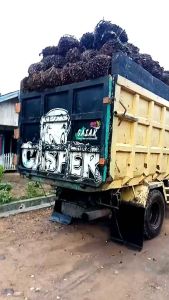 Knalpot Brong viral Truk TURBO NON TURBO khas Kalimantan
