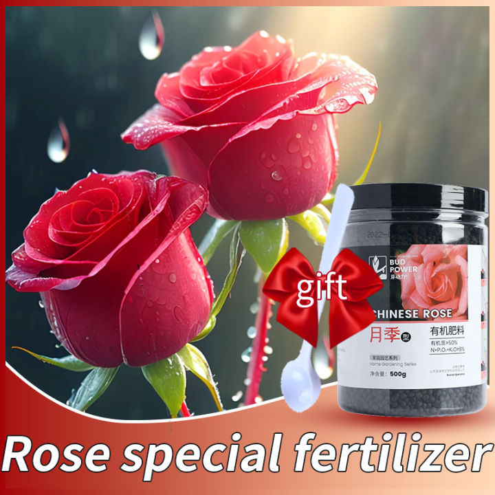 rose fertilizer 500g fertilizer for roses | Lazada PH