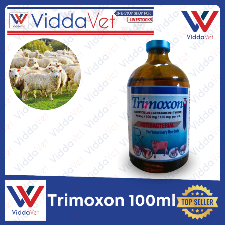 Trimoxon 100ml anti piglet diarrhea amoxicillin gentamycin tylosin for ...