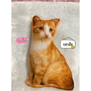 🌈ตุ๊กตาหมอนพิมพ์ลายแมว หมอนแมวเหมียว ภาพสีคมชัด พิมพ์ลาย2ด้าน ขนาด 50cm./60cm. มีหลายลายให้เลือกเลื่อนดูได้เลยค่า💗