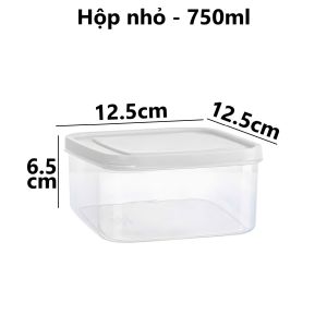 Hộp vuông trong HOKORI nhựa VIỆT NHẬT cao cấp - Đựng thực phẩm rau củ thịt cá để tủ lạnh - 6529