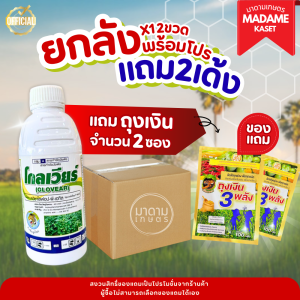 (โปรยกลัง+ของแถม) โกลเวียร์ x12 ขวด (ควิซาโลฟอป-พี-เอทิล) เคลียร์หญ้า ฉีดทับมันสำปะหลังได้ ใบแคบเอาอยู่ ปลอดภัยต่อมัน ฉีดทับได้ทั้งมันและแปลงผัก (1 ลิตร)
