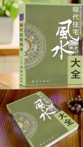 【Ship in 24H】正版 居家风水大全 家居风水100忌 理气风水 中国风水文化 旺铺办公室风水宝典 入门家居风水书 宜忌现代化 装修宝典 风水书籍