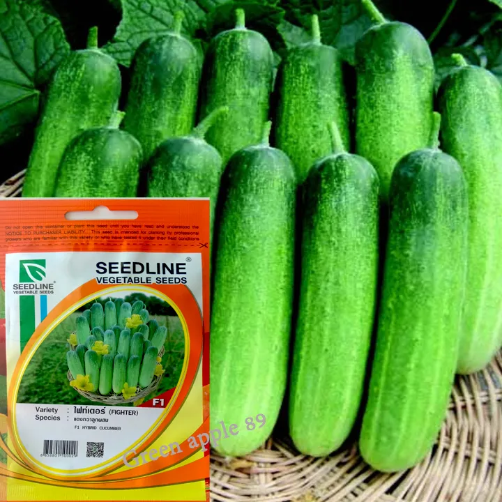 เมล็ดพันธุ์แตงกวา ตราศรแดง หลากหลายสายพันธุ์