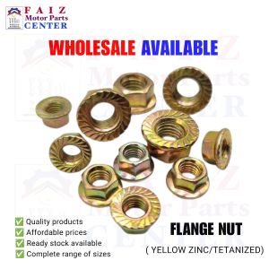 10 pcs. FLANGE NUT PLATED m14 and m16