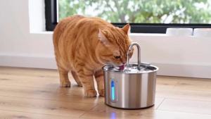 OYES 2.2L round Automatic Cat Water Fountain Stainless SteelWater Feeder with Window for Dogs And CatsSupplies