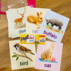 Big card สัตว์ป่ามหาสนุก แฟลชการ์ด Flash Card Animal การ์ดคำศัพท์พื้นฐาน บัตรคำ เสริมพัฒนาการ  fla การ์ดสัตว์ การ์ดสัตว์ป่า การ์ด คำศัพท์ สัตว์ - Lazada