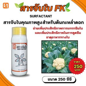 สารจับใบFK สารจับใบคุณภาพสูง สำหรับต้นกะหล่ำดอก เพิ่มประสิทธิภาพในการดูดซึม ธาตุอาหารทางใบ ขนาด250CC