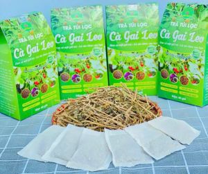 4 hộp trà cà gai leo túi lọc combo 160 gói trà túi lọc cà gai leo Bảo Khang giúp hạ men gan gan nhiễm mỡ thanh lọc giải độc gan