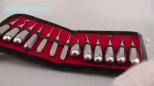 13Pcs Dental Elevator Teeth Extraction Forceps Stainless Steel Dentist Surgical Tools Curved Root Lift Instruments Kit