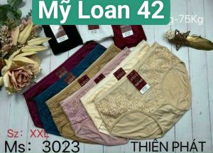 Bộ 10 quần lót nữ phom to cao cấp Thiên Phát mã 3023 - My Loan 42