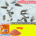 ยาเบื่อนกพิราบกำจัดพิราบและนกทุกชนิด เหยื่อกำจัดนกพิราบ ยาฆ่านกพิราบ500g ทำลายอวัยวะภายในตายใน 1ชม. ยาเบื่อนก พิราบ แห้งเร็วและไม่มีกลิ่น กินง่ายตายไว ชนิดไม่ต้องผสมอาหาร ยาเบื่อนก เห็นผลชัวร์ 100% ไม่มีนกรบกวน ไล่นกพิราบถาวร ยาไล่นกพิราบ. 