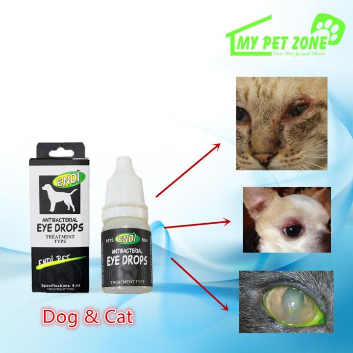 Endi Antibacterial Eye Drops (Dog Cat 8ML Eye Treatment