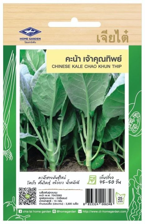 เมล็ดพันธุ์คะน้า เจ้าคุณทิพย์ เจียไต๋ F1-022