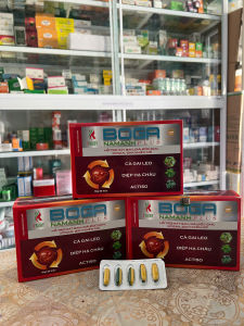 Viên uống hỗ trợ mát gan giải độc gan xơ gan gan nhiễm mỡ  BOGA NamAnh plus - Hộp 60 viên