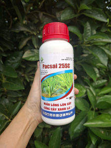 [VTNN TIEN KHOA] PACSAI 25SC - Paclobutrazol 250g/L (1 Chai 500ml) Điều Hòa Sinh Trưởng Đẻ Nhánh Cứng Cây Tăng Năng Suất