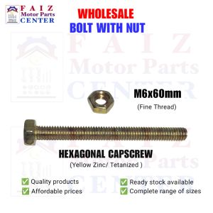 10 pcs. BH. 6x60mm (#10 sa yabe /tools)GOLD PLATED HEX BOLT WITH NUT (Tetanized Zinc Plated)