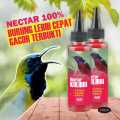 NECTAR MAKANAN BURUNG SOGON PLECI KOLIBRI. 