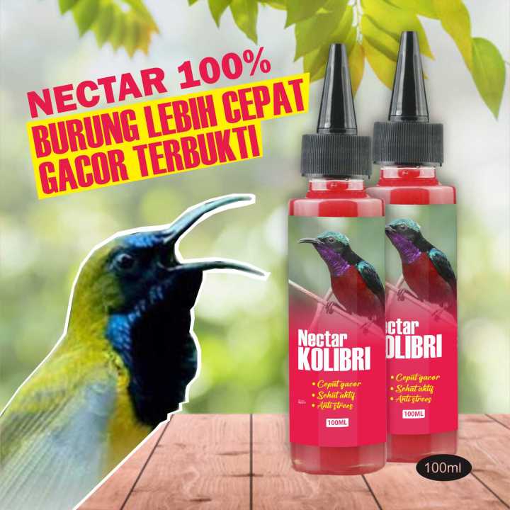NECTAR MAKANAN BURUNG SOGON PLECI KOLIBRI