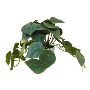 MIRELAE Chậu hoa màu trắng Cây cảnh bonsai cỏ nhân tạo Lá Xanh Nhiều màu sắc Đồ trang trí bàn làm việc Sáng tạo Đạo cụ ảnh Cây leo xanh trồng trong chậu Trang trí nhà cửa