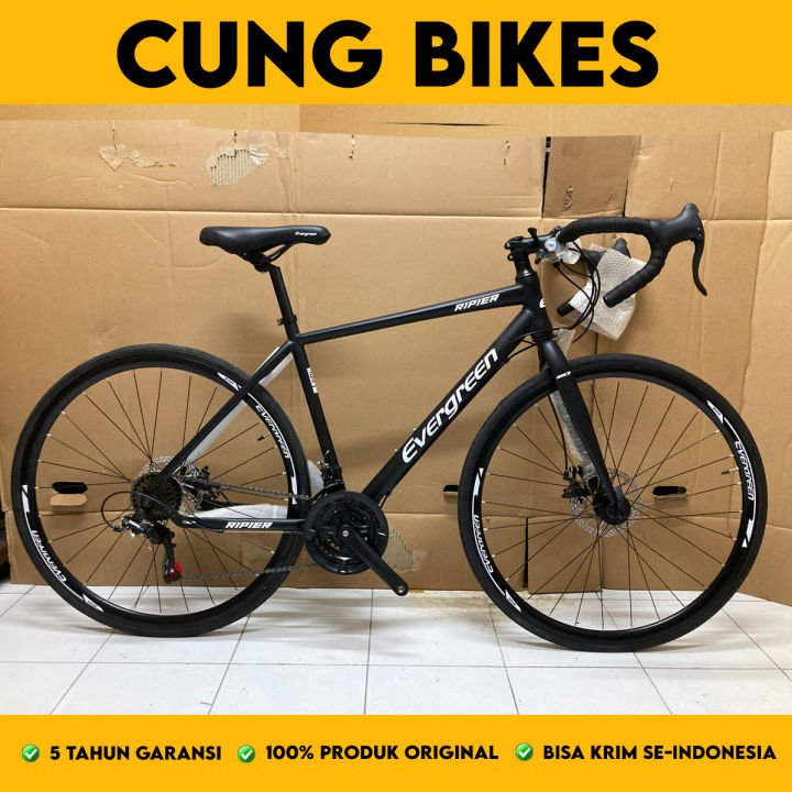 Sepeda balap RoadBike Evergreen Rapier ST 307 B Sepeda Hi-Ten