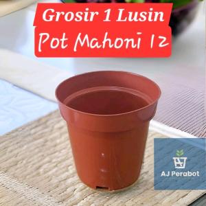 GROSIR 1 LUSIN Pot Polos 12 / Pot Mahoni 12 / Pot Srondol / Pot Tanaman / Pot Bunga / Pot Bunga Plastik / Pot Plastik