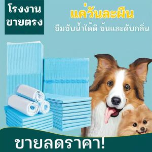 แผ่นรองฉี่ แผ่นรองฉี่กระต่าย แผ่นรองฉี่แมว แผ่นรองฉี่สุนัข ช่วยฝึกขับถ่าย ระงับกลิ่น ซึมซับไดีดี ยิ่งขึ้น แผนรองฉี่สุนัข