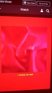 (L) HEAVY SILK SATIN PILLOWCASE 2 PCS LARGE 20*30