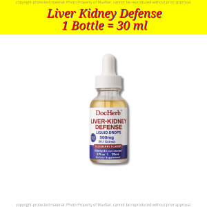 DocHerb Liver-Kidney Defense Serum l Supports Detox l Boost Energy and Strengthens Immunity l 1 Bottle 30ml