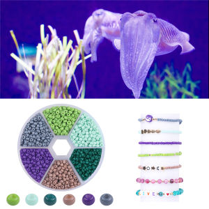 1 Hộp 3Mm 1900 Cái/lốc Glass Beads Seed Czech Charm Pha Lê Spacer Hạt Thủy Tinh Cho Vòng Đeo Tay Vòng Cổ Trang Sức Làm Bộ Dụng Cụ May Handmade Tự Làm Nguồn Cung Cấp Phụ Kiện Thiết Lập