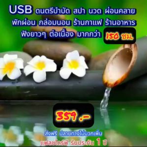 แฟลชไดร์ฟแท้ USB - MP3 ดนตรีบำบัด ผ่อนคลายสมอง จิตสงบ ลดภาวะซึมเศร้า คัดพิเศษ 36 ชุด ฟังยาว 150 ชม.