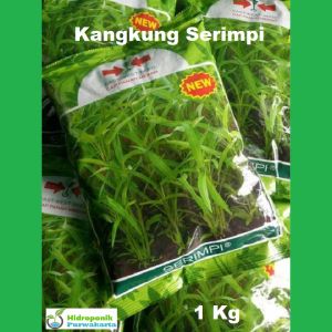 BENIH KANGKUNG SERIMPI ISI 1 KG CAP PANAH MERAH