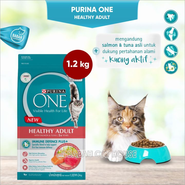 Purina ONE HEALTHY ADULT Makanan Kering Kucing Dewasa Cat
