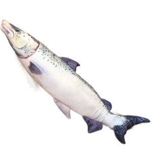 WARM Stuffed Simulation Sea Fish Plush Toys Soft PP Cotton Fish Sleeping Pillow Dolls Anime Pillow Dolls Salmon Sea Fish Stuffed Doll Living Room