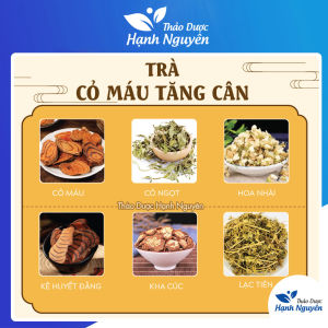 Trà cỏ máu mix vị giúp bổ huyết tăng cân điều hòa kinh nguyệt giảm đau xương khớp - Thảo Dược Hạnh Nguyên